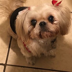 Meet your Posher, Ericka